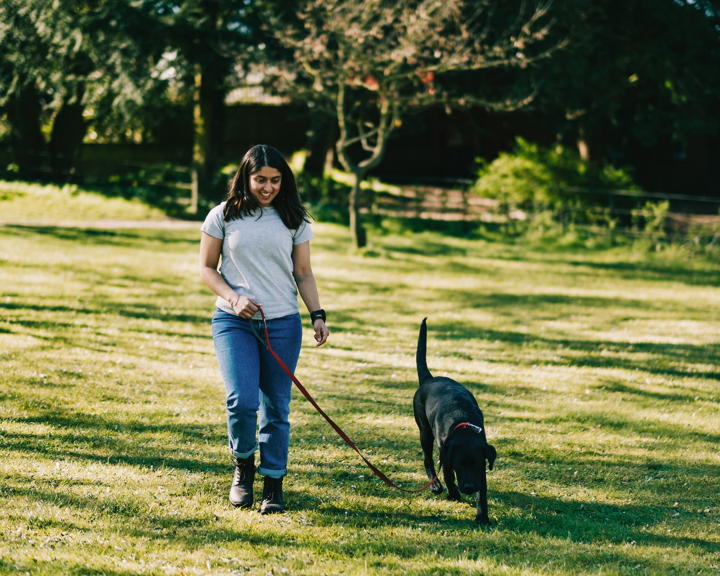 Image of lady walking dog